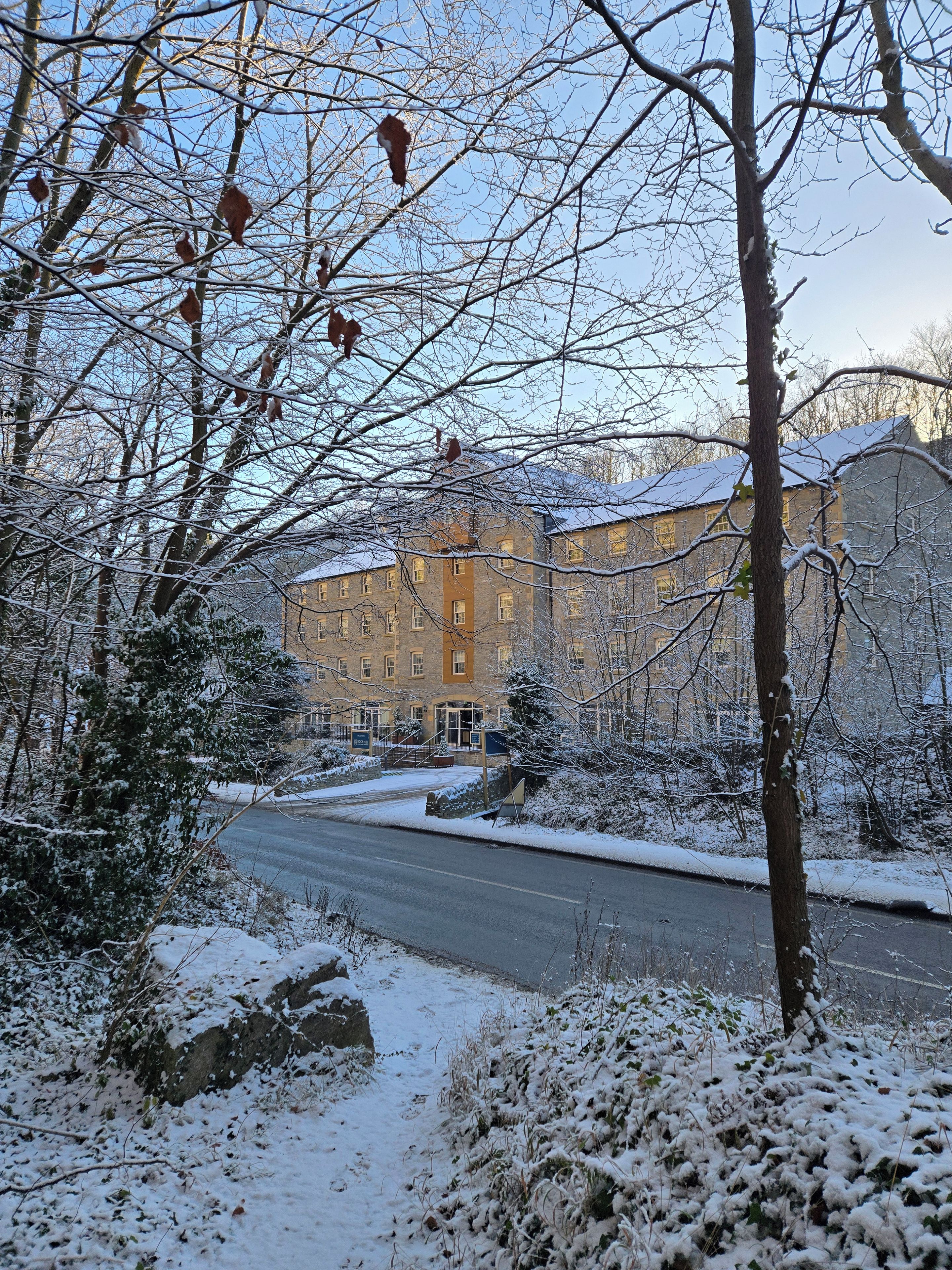 Eksteriør