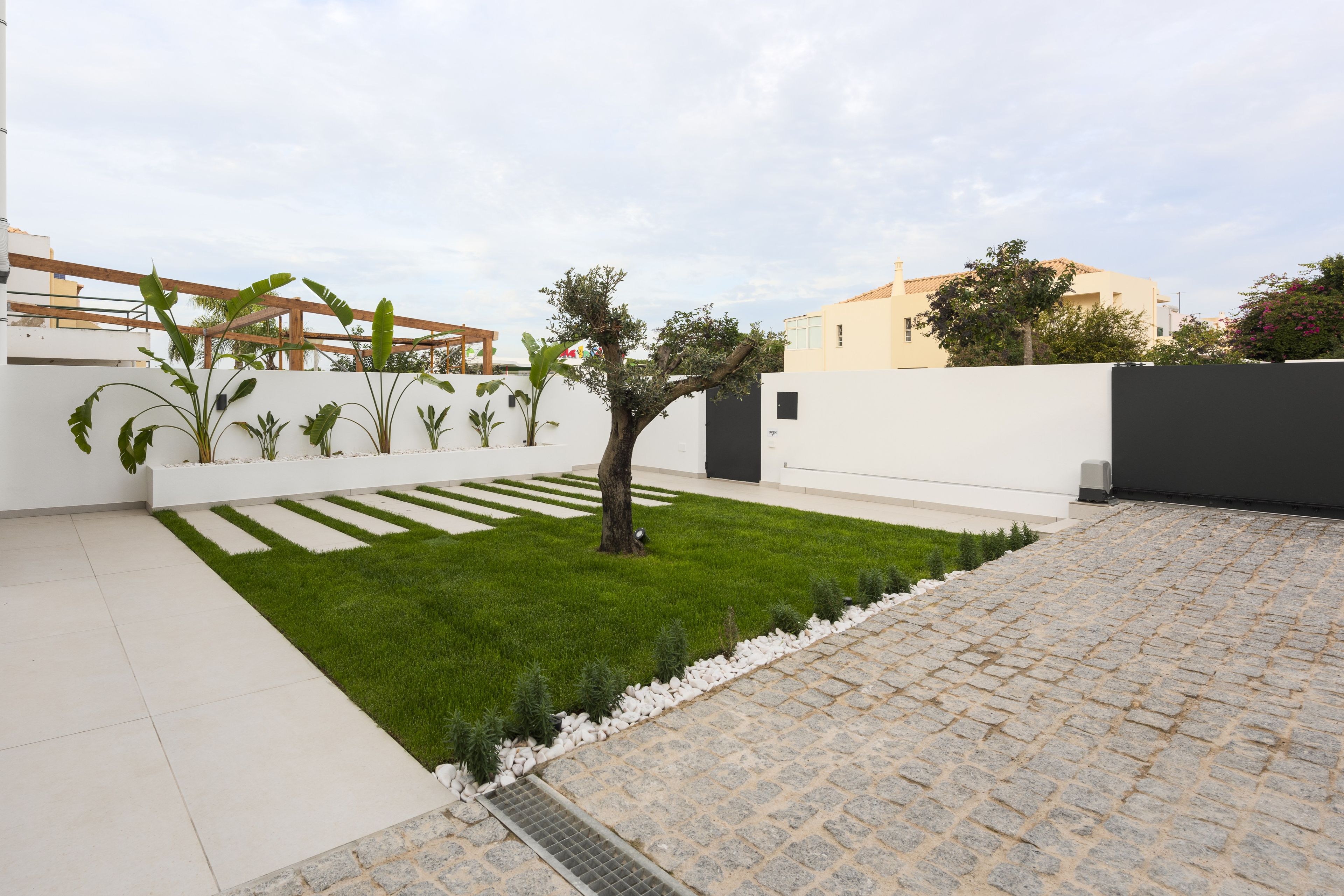 Modern walled garden with olive tree, stepping stones and patio