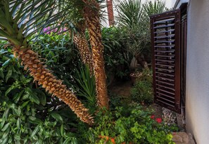 A lush garden with a variety of plants, including a palm tree with dried fronds, a potted plant, and a small orange flower. - Lovely studio in perfect location (Split)