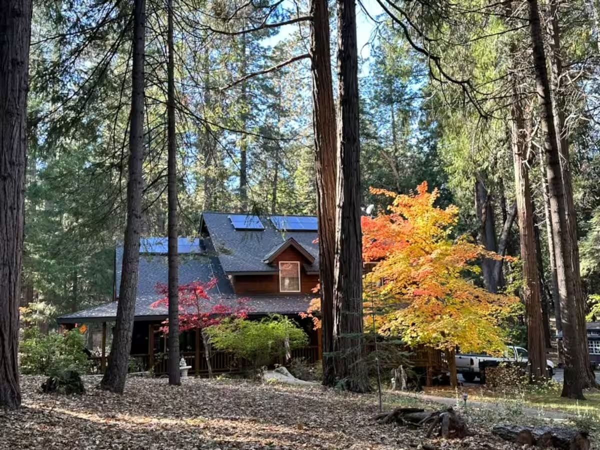 A cabin with a sloped roof, surrounded by tall trees and a leaf-covered ground.