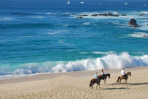 Una playa con caballos y jinetes, olas del océano y barcos a lo lejos.