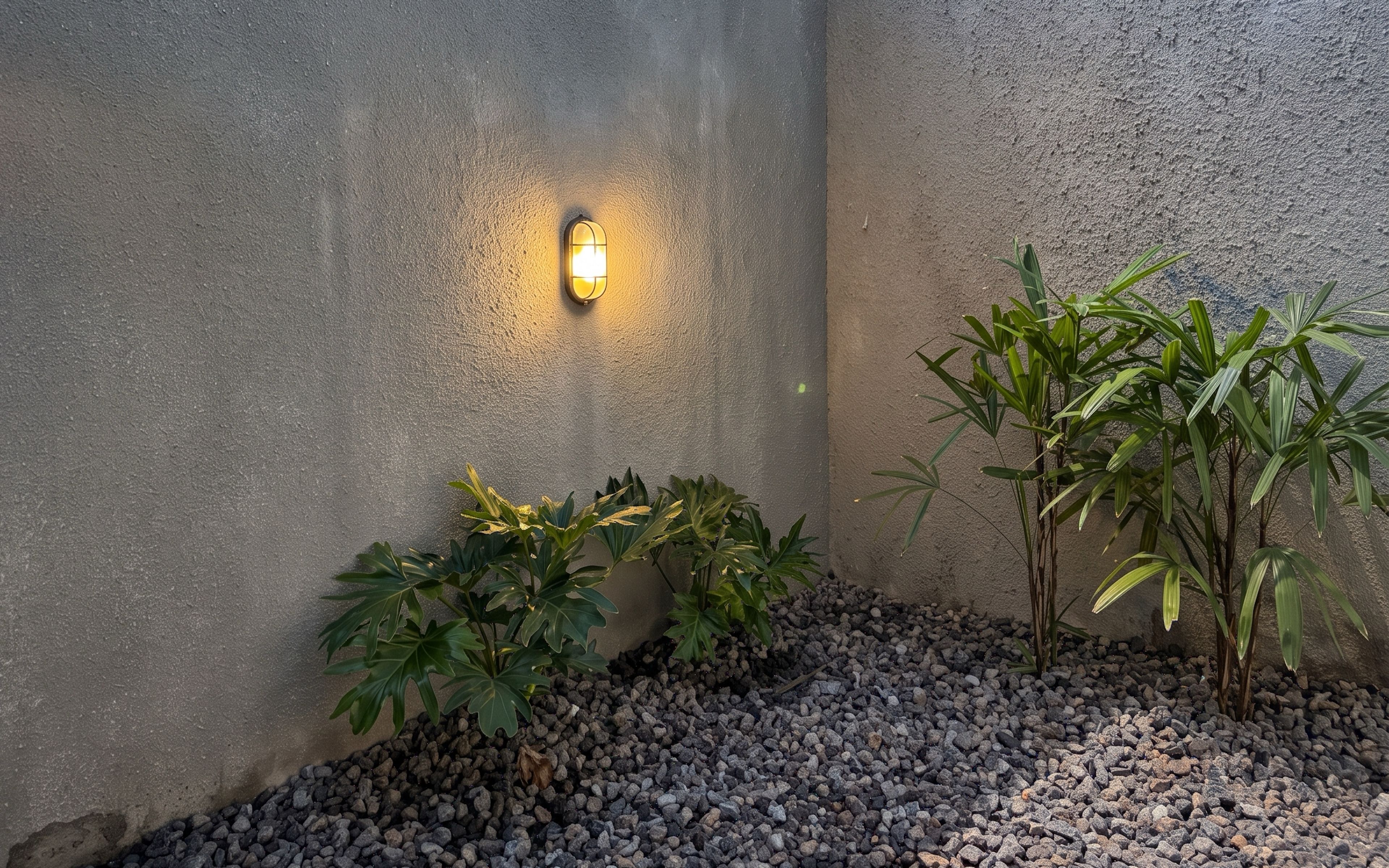 A wall-mounted light fixture, a small plant, and a gravel bed.