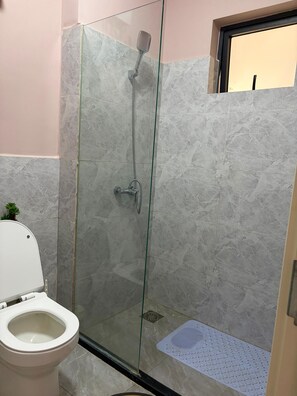 Ein Badezimmer mit einer gläsernen Duschkabine, einer Toilette und einem kleinen Blumentopf.