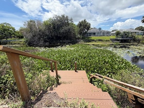 Un escalier en bois mène à un étang où flottent des nénuphars, le tout étant entouré de verdure et surplombé par un ciel dégagé.