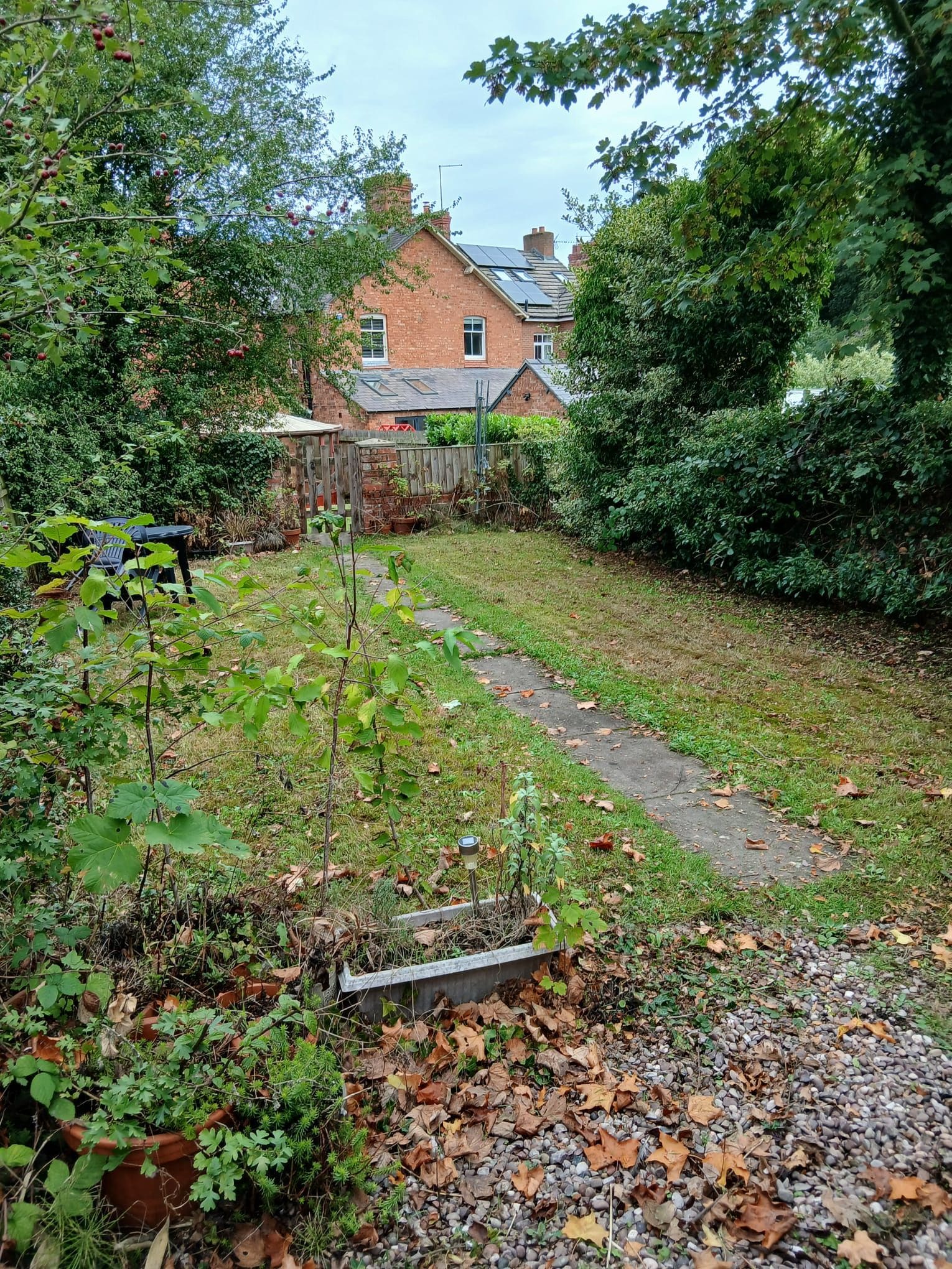 A garden with a pathway leading to a house.