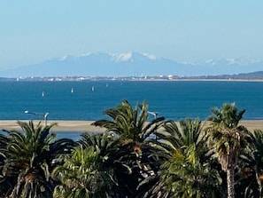 A beach with palm trees and a mountain in the background. - The prettiest studio apartment in Sète! Right on the beach, with views of the sea, the Pyrenees, and the sunset (Sète)