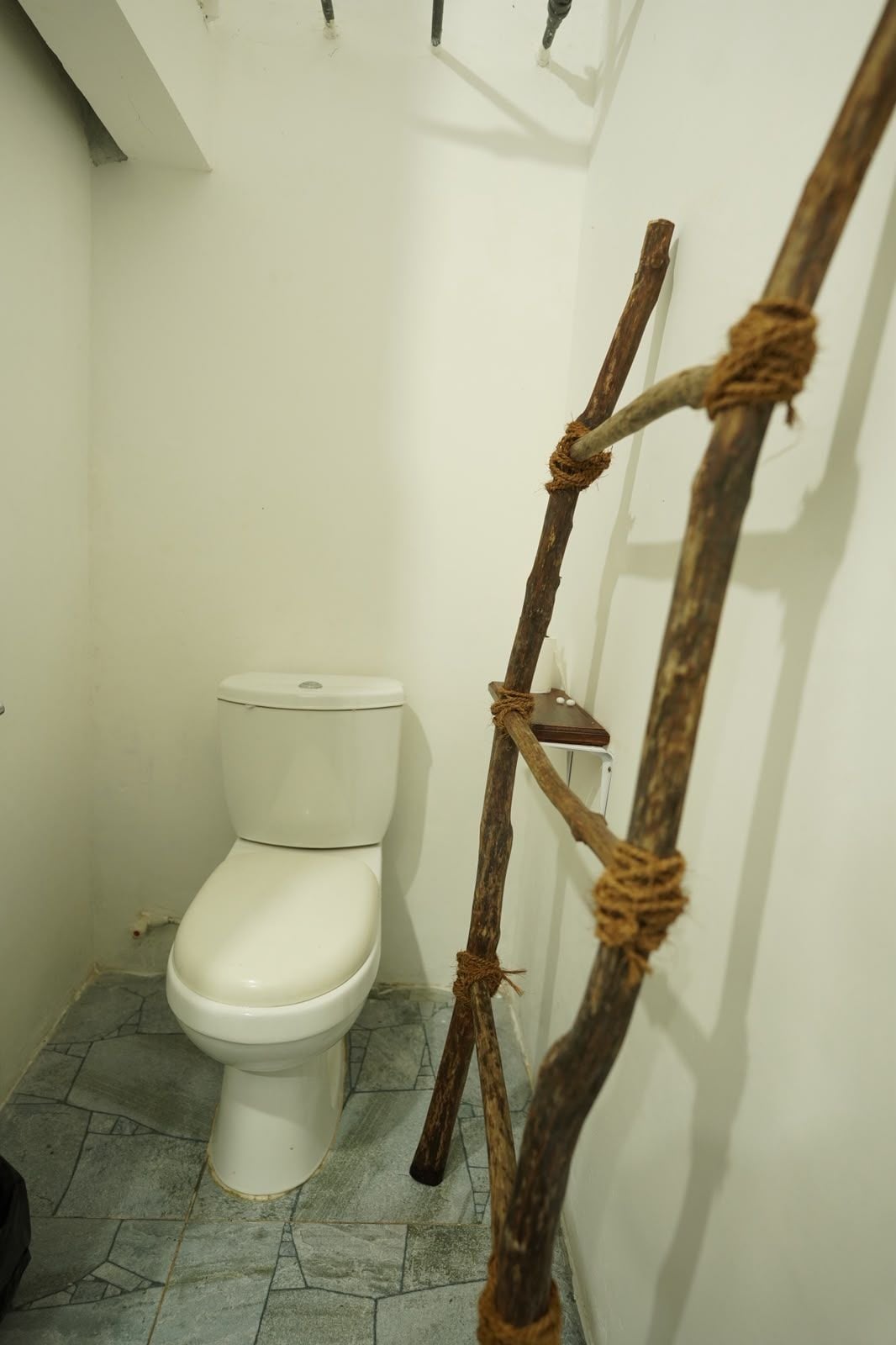 A small bathroom with a toilet and a wooden ladder leaning against the wall.