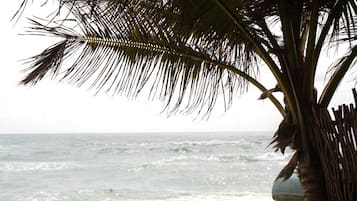 A beach with two wooden benches under a palm tree, overlooking the ocean.