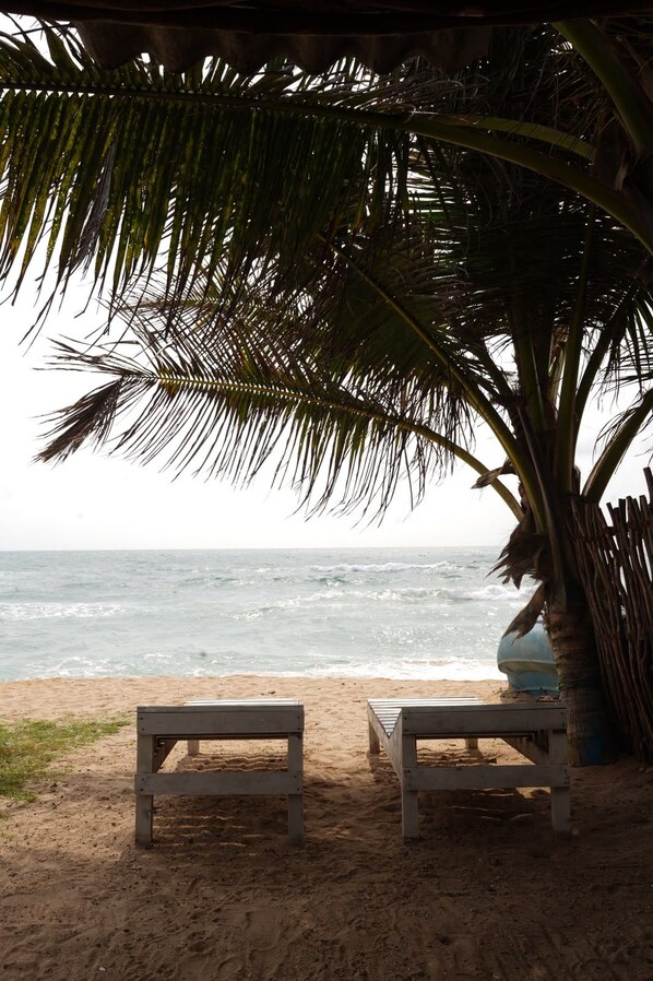A beach with two wooden benches under a palm tree, overlooking the ocean.