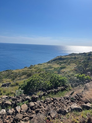 A coastal landscape with rocky terrain and sparse vegetation.