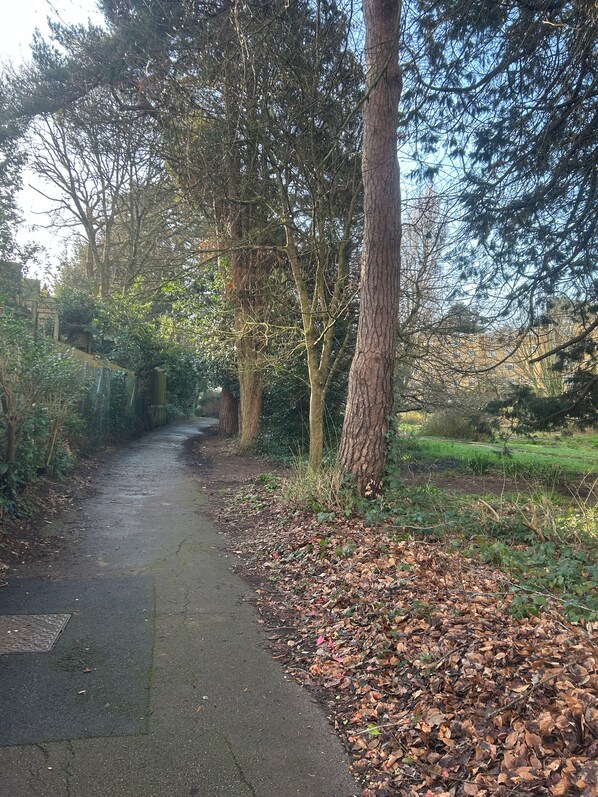 Un camí pavimentat flanquejat per arbres i una zona verda.