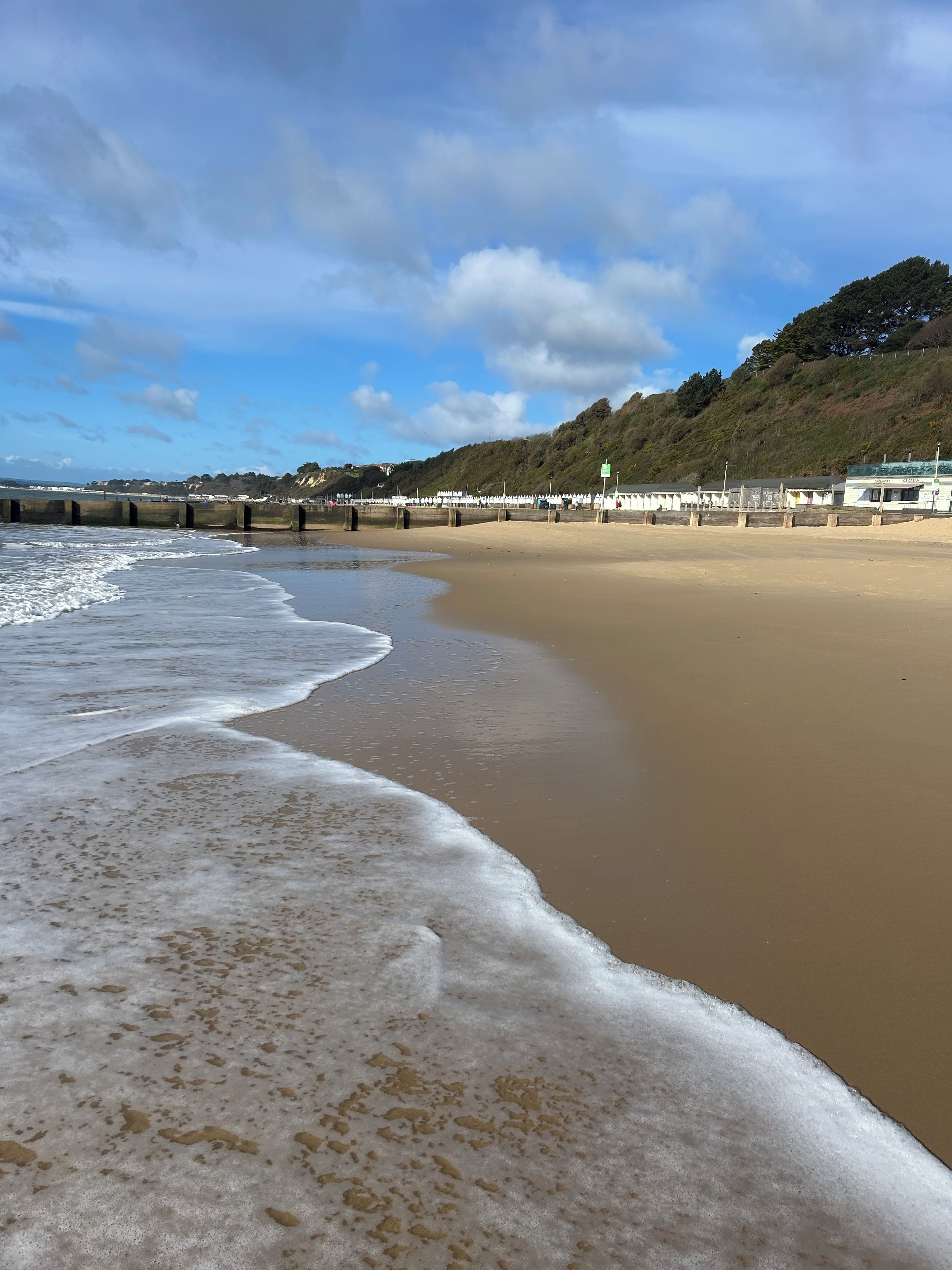 Une plage avec un rivage sablonneux, des vagues, une jetée en bois et une colline couverte de végétation.