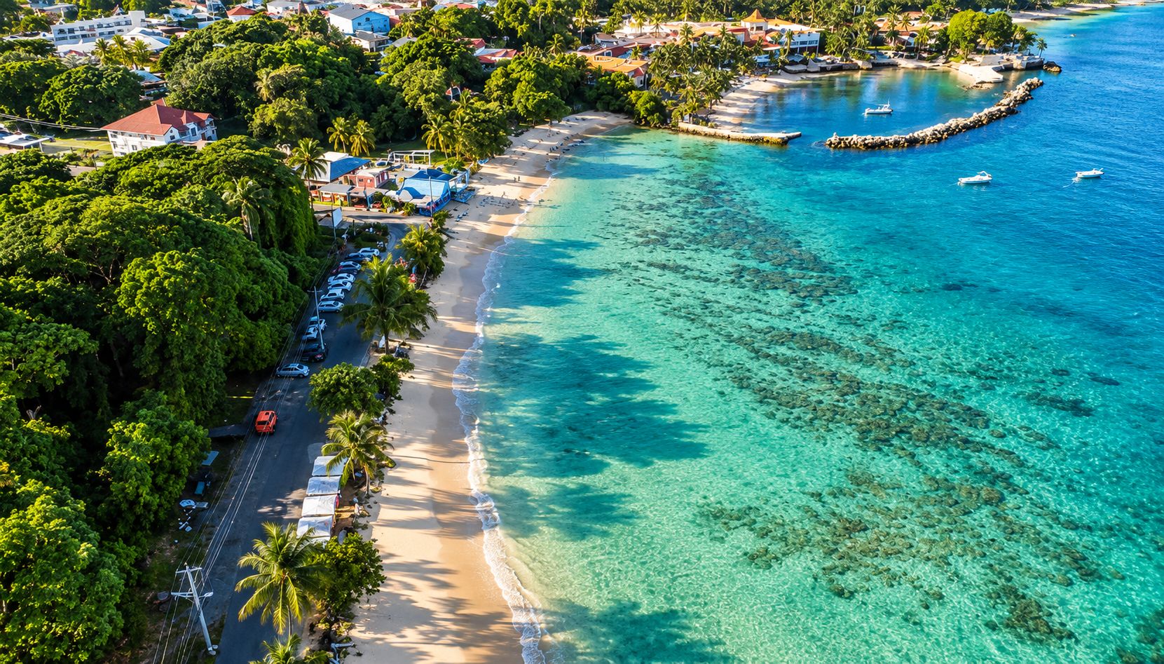 Une zone côtière avec une plage, des eaux cristallines et une route bordée de voitures garées et de palmiers.