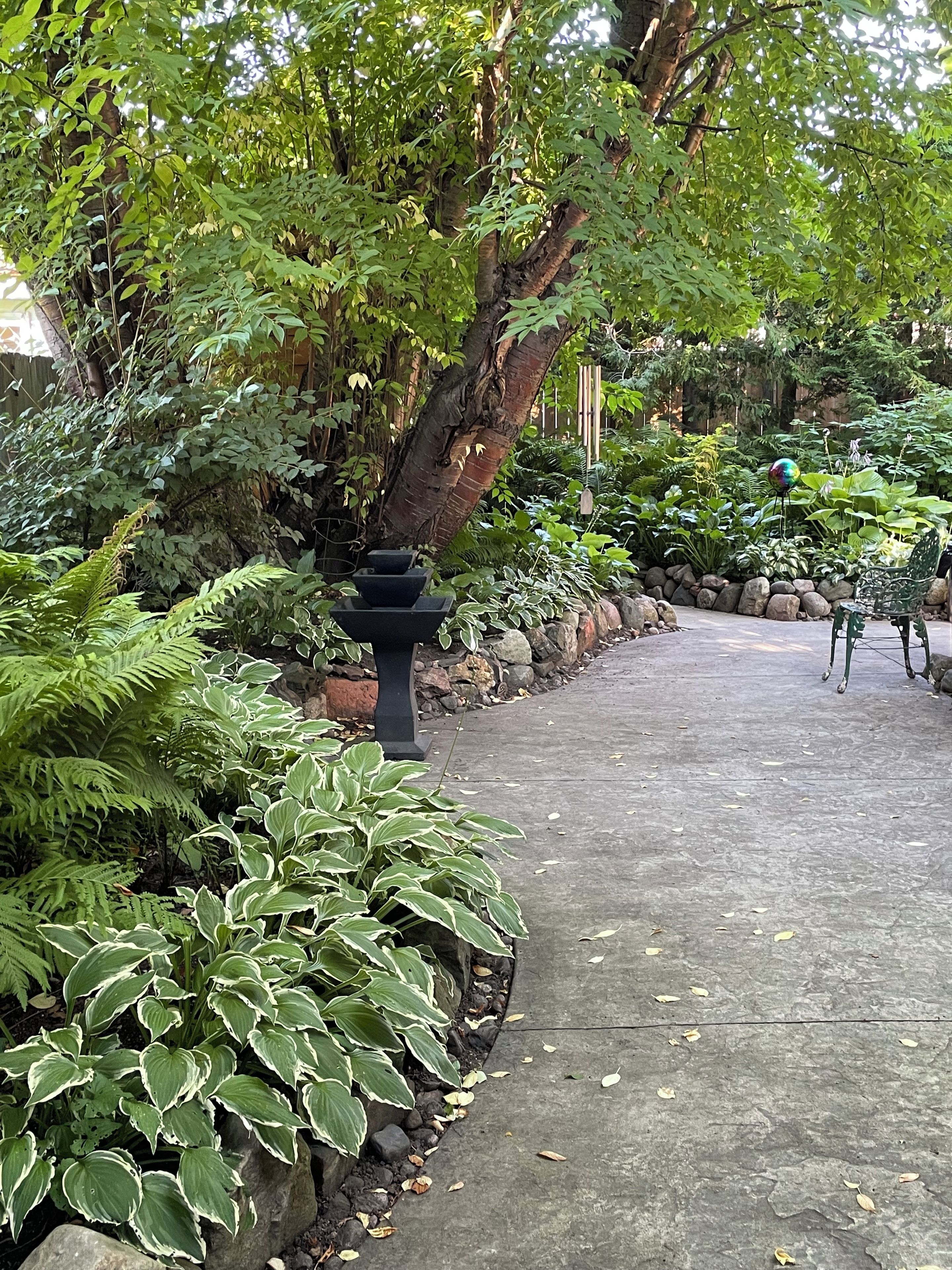 Un sendero en un jardín con un banco de piedra, abundante follaje y diversas plantas.