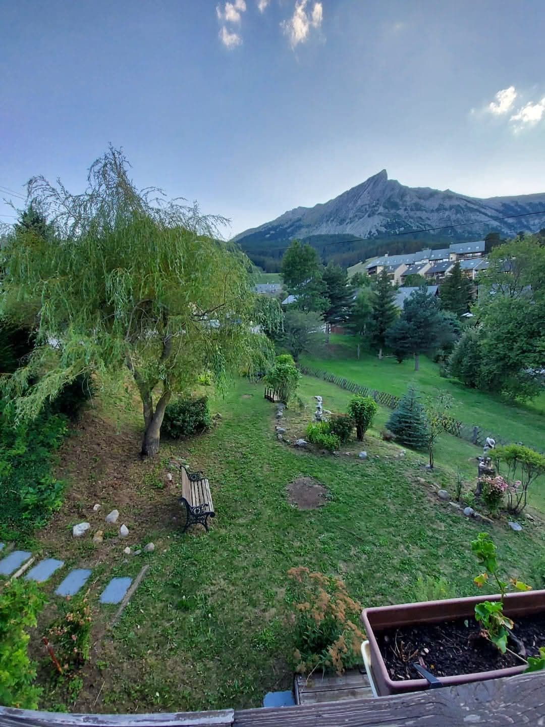 Un jardin avec un banc, un arbre et une montagne en arrière-plan.