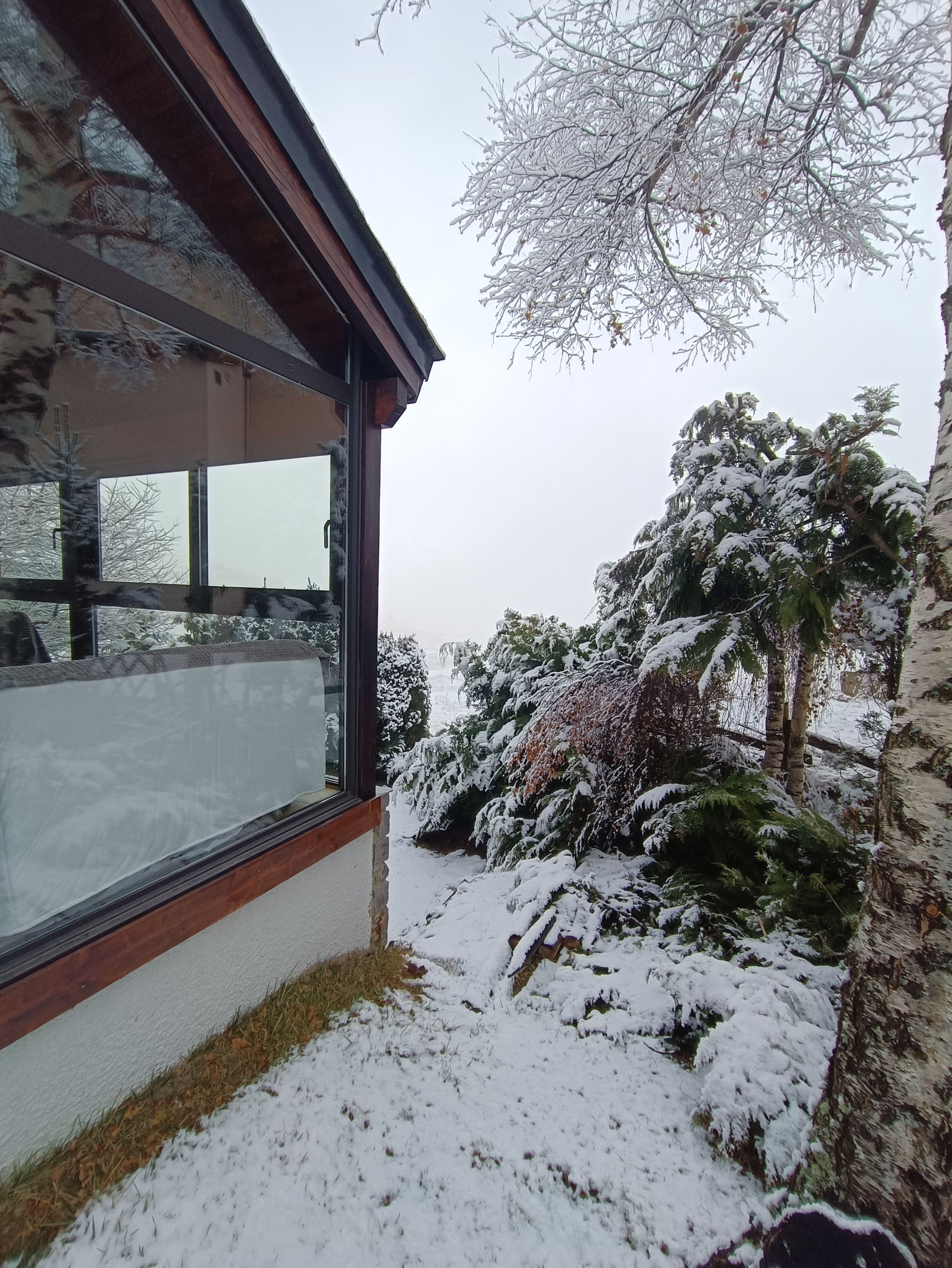 A modern building with large windows and a view of snow-covered trees.