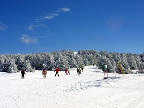 A snowy landscape with a clear sky, a group of people skiing, and a forested hill in the background. - Charming chalet, pets allowed - 6 guests (Bolquère-Pyrénées 2000)
