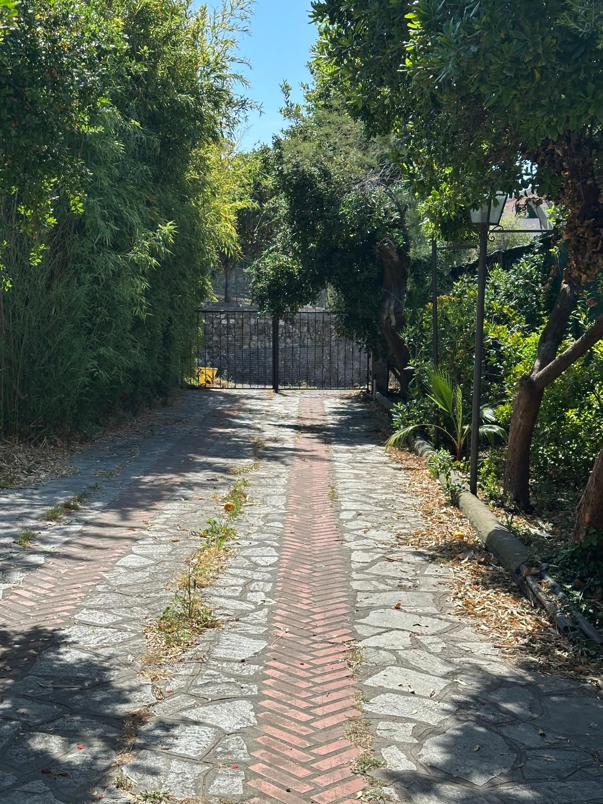 Parco della struttura