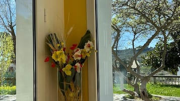 A room with a large window, a vase with flowers, and a view of trees and a pathway outside.