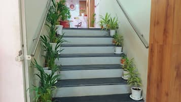 Una scalinata con diverse piante in vaso, un banco reception e una porta in legno.