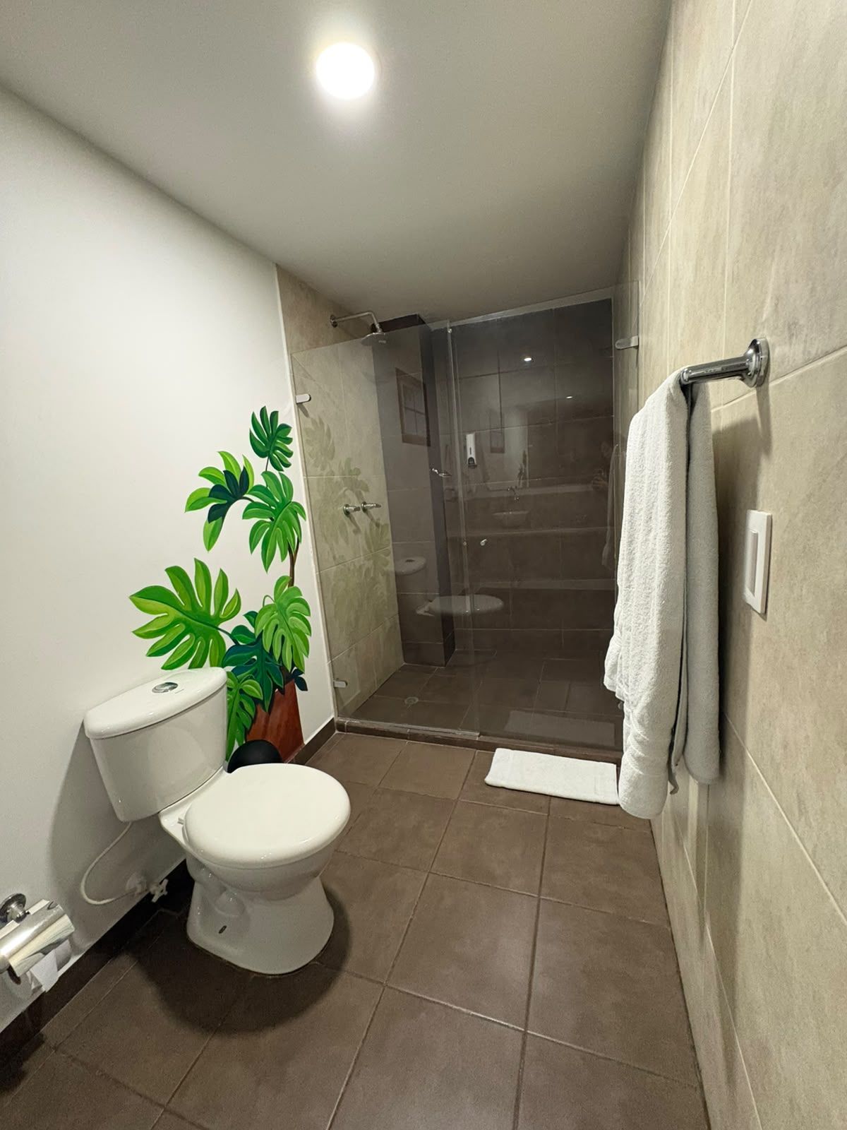 Un baño con inodoro, ducha y toallero.