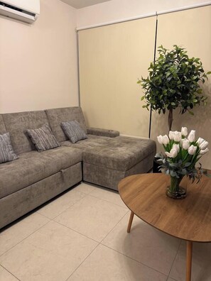 A living room with a grey sofa, a wooden coffee table, and a potted plant.