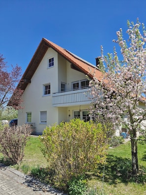 Esterni