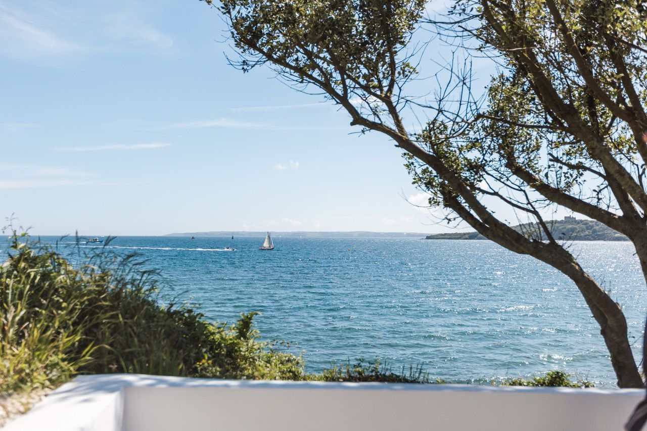 A coastal view with a clear sky, a sailboat, and a tree in the foreground.