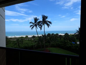 A view of a beach with palm trees and a clear sky. - 2-bedroom beachfront condo in Marco Island with fitness room,pool,picketball (Marco Island)