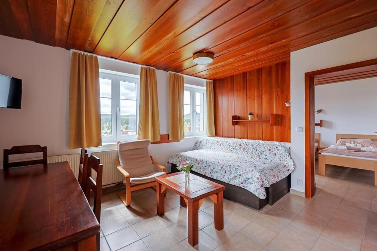 A room with a wooden ceiling, a bed, a sofa, a dining table, and a chair.