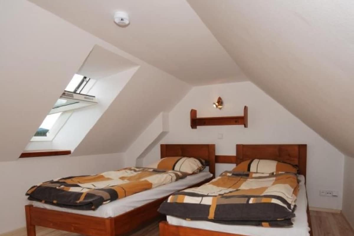 Una camera da letto con due letti di legno, un soffitto a falde e un lucernario.