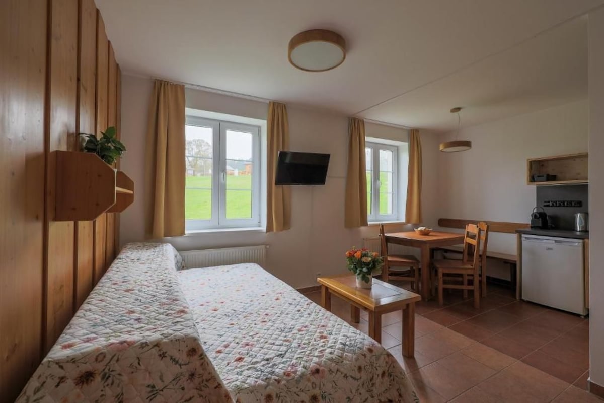 Una camera d'albergo con un letto, una scrivania, una sedia, una televisione e angolo cottura.