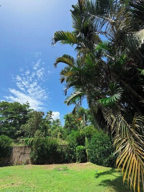 A lush green lawn with a palm tree and dense foliage in the background. - Modern Refurbed Condo | Resort Pool | Sleeps 4 (Ocho Rios)