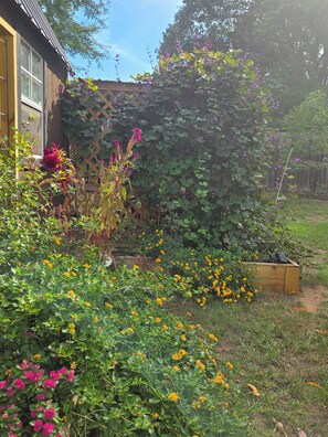 A garden with various plants and flowers, a wooden fence, and a house with a window. - Spacious 4BR house tranquil lakeview w boat launch beach access/park extra prkng (Jacksonville)