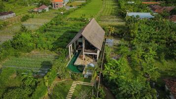 A single-story house with a thatched roof, surrounded by lush greenery and agricultural fields.