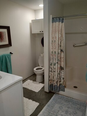 Ein Badezimmer mit Toilette, einer Duschkabine, einem Waschbecken und einem Teppich.