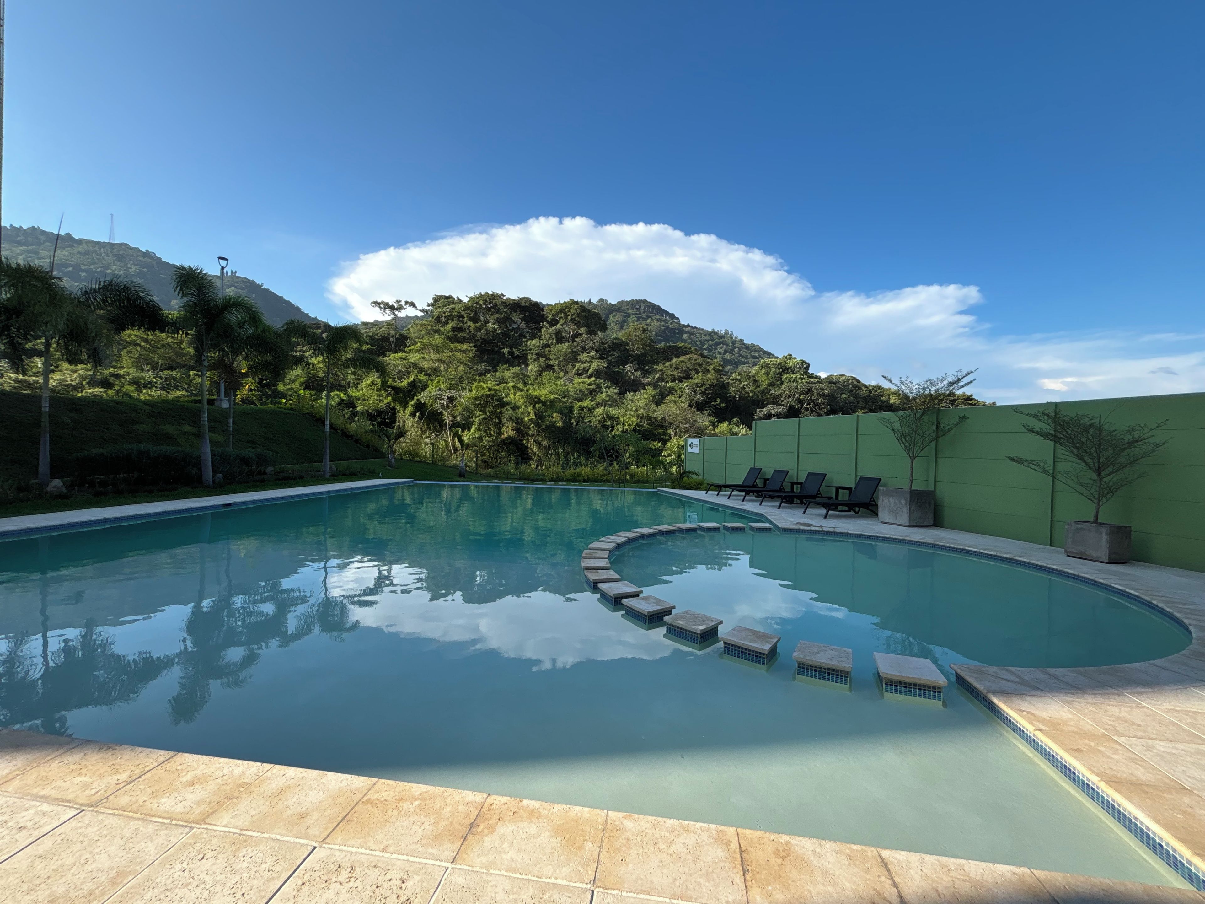 Una piscina con borde curvo, rodeada por un muro verde y árboles.