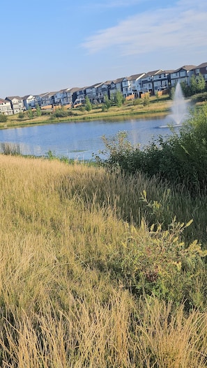 A residential area with houses, a body of water, and a fountain.