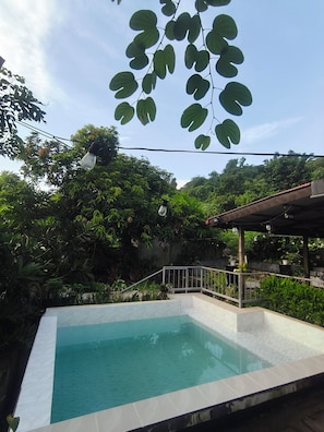 Una piscina con borde de azulejos, rodeada de abundante vegetación y una zona cubierta con luces colgantes.