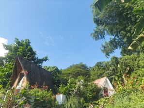 Exterieur