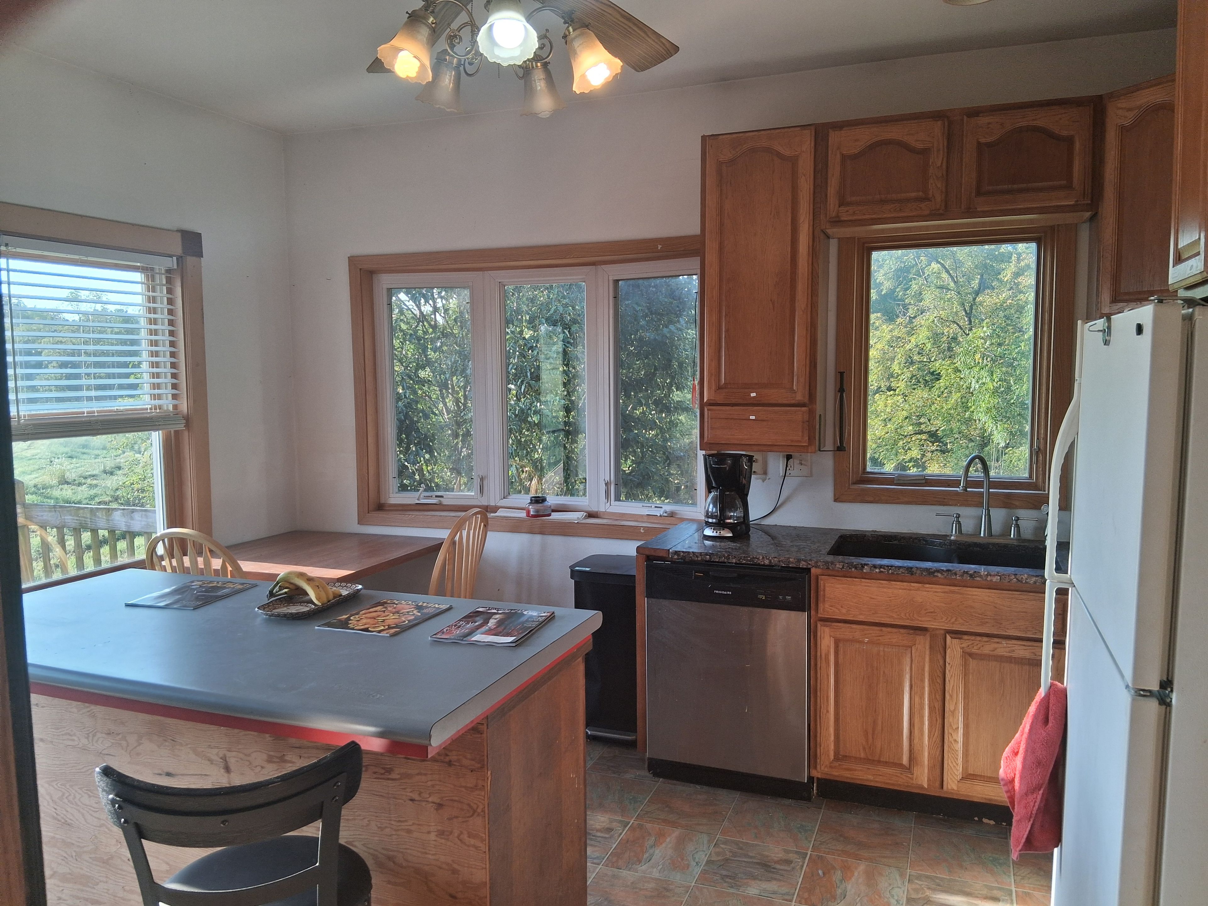 A kitchen with wooden cabinets, a dishwasher, a coffee maker, and a window overlooking greenery.