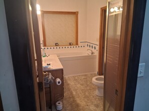 A bathroom with a bathtub, toilet, sink, and a mirror. - Perfect 5-bedroom house with AC in charming Iowa City (Iowa City)