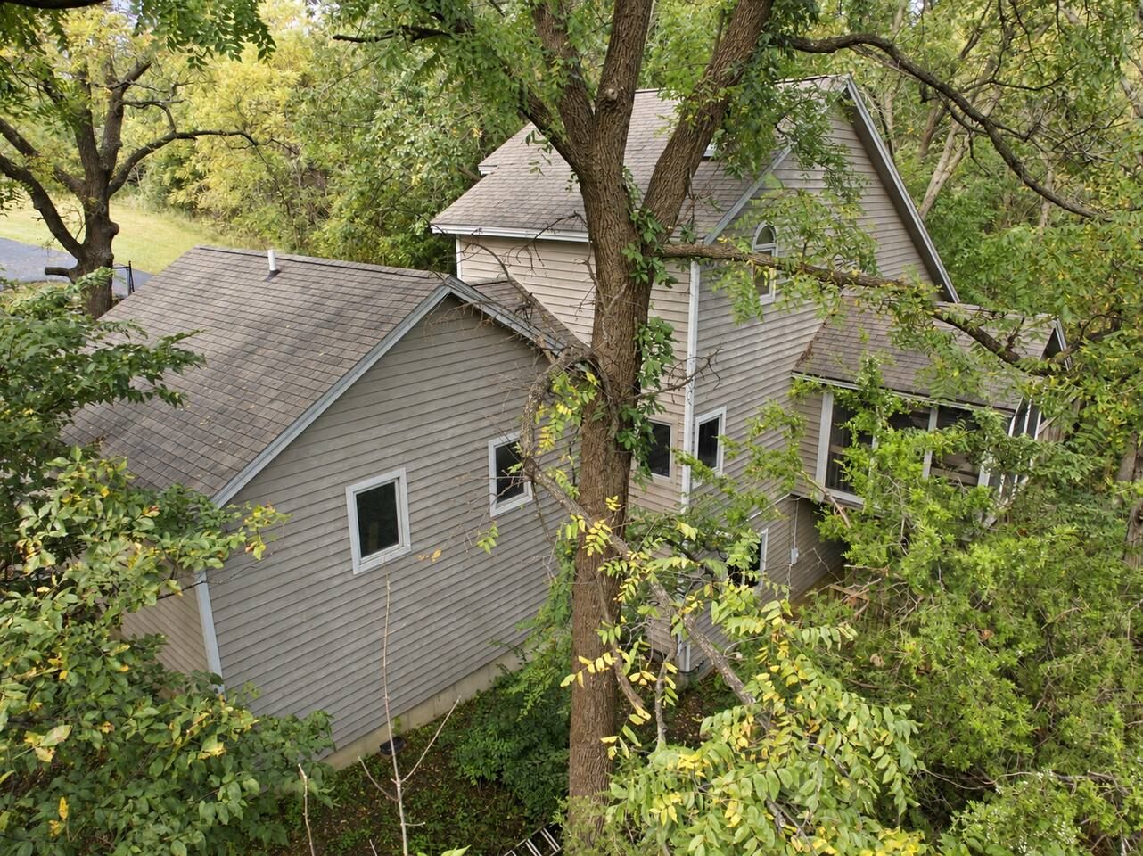 A house with a sloped roof, surrounded by dense foliage.