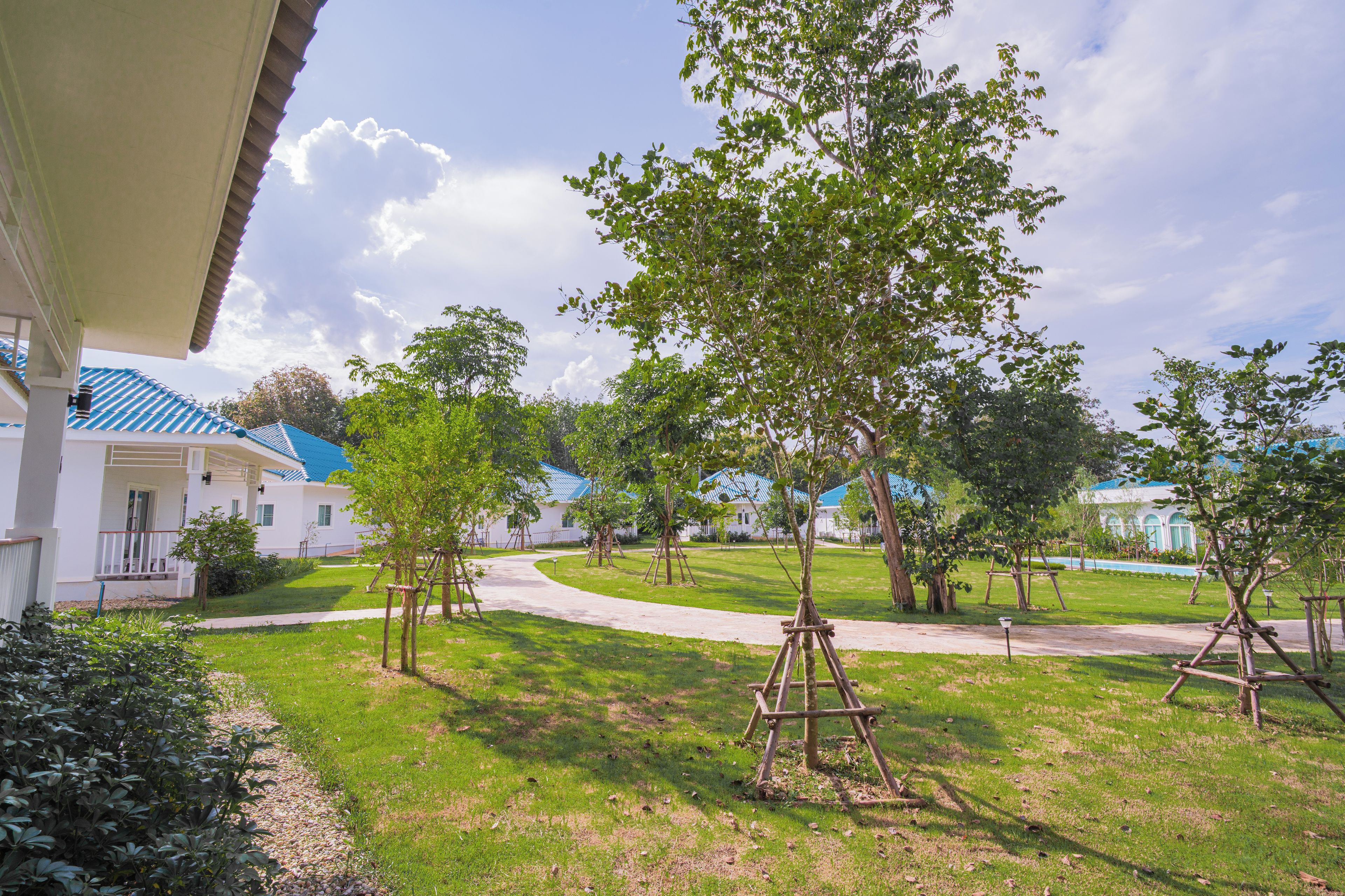 A residential area with a paved walkway, trees, and houses with blue roofs.