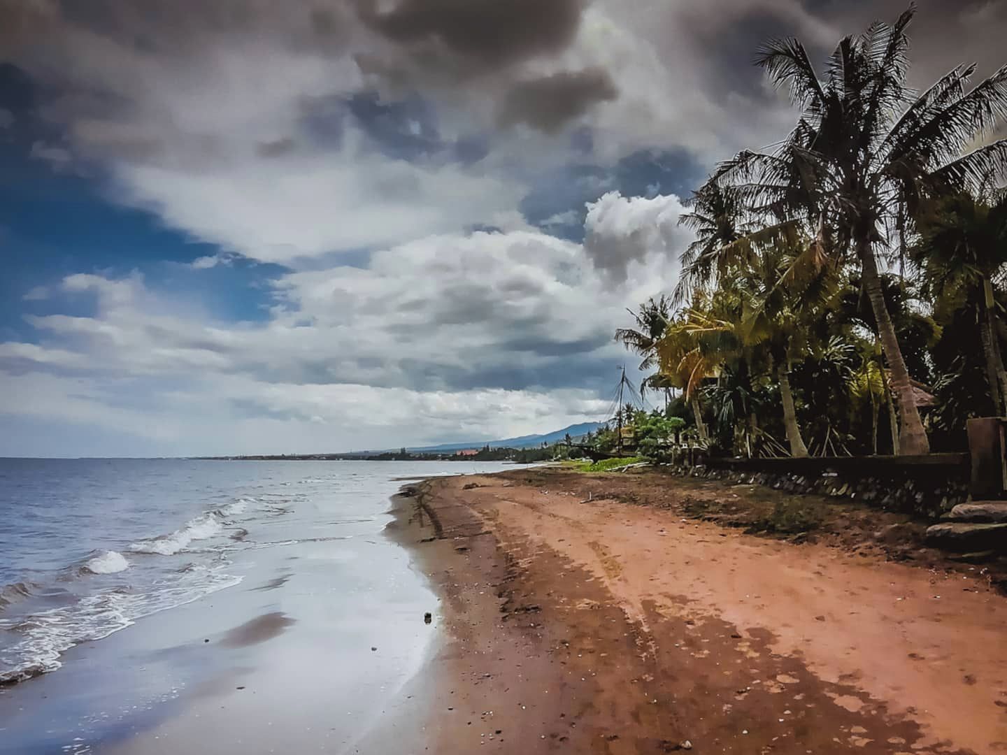 A beach with a sandy shore, palm trees, and a cloudy sky.