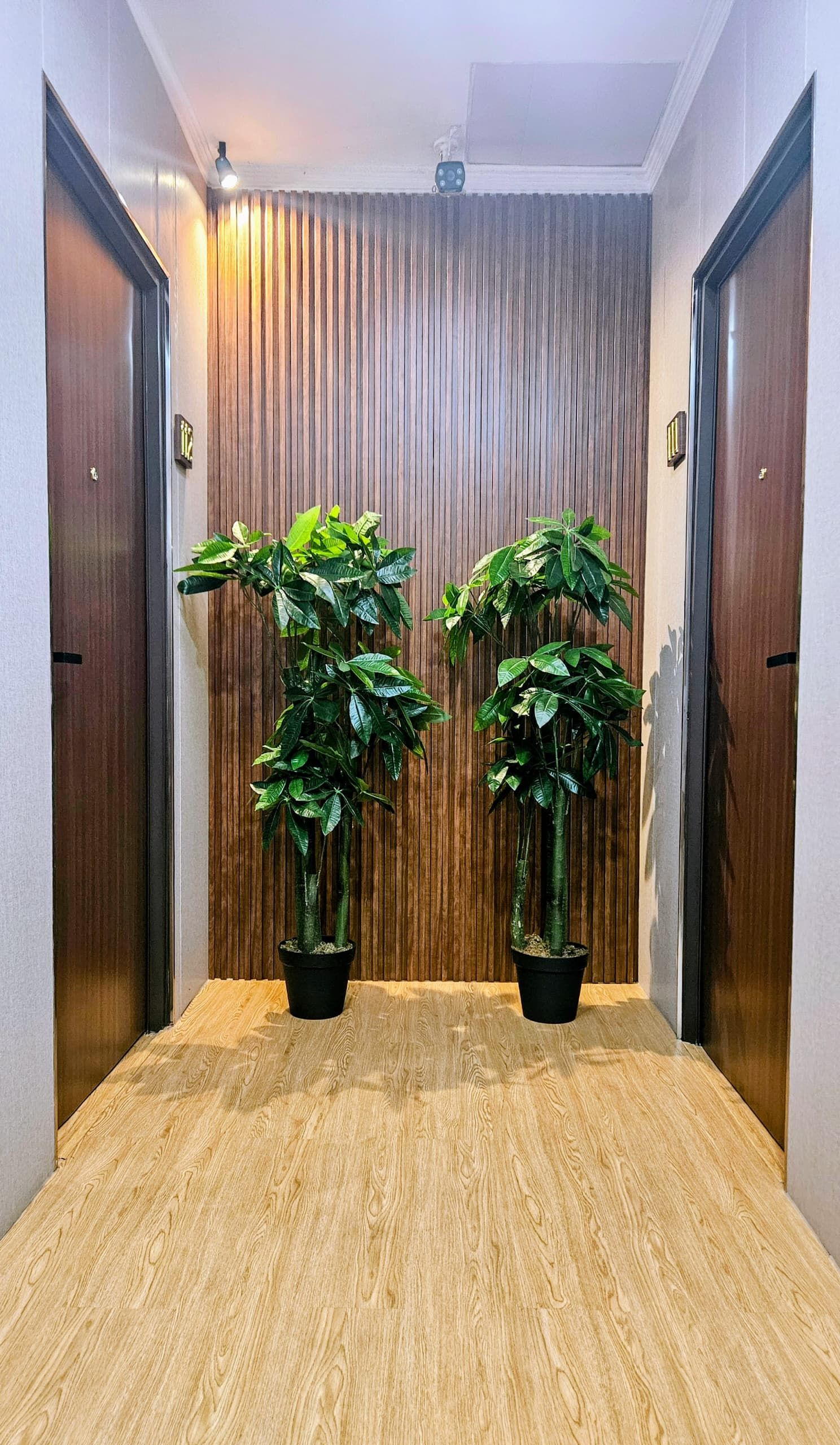 A hallway with two potted plants, wooden flooring, and a vertical wooden panel wall.