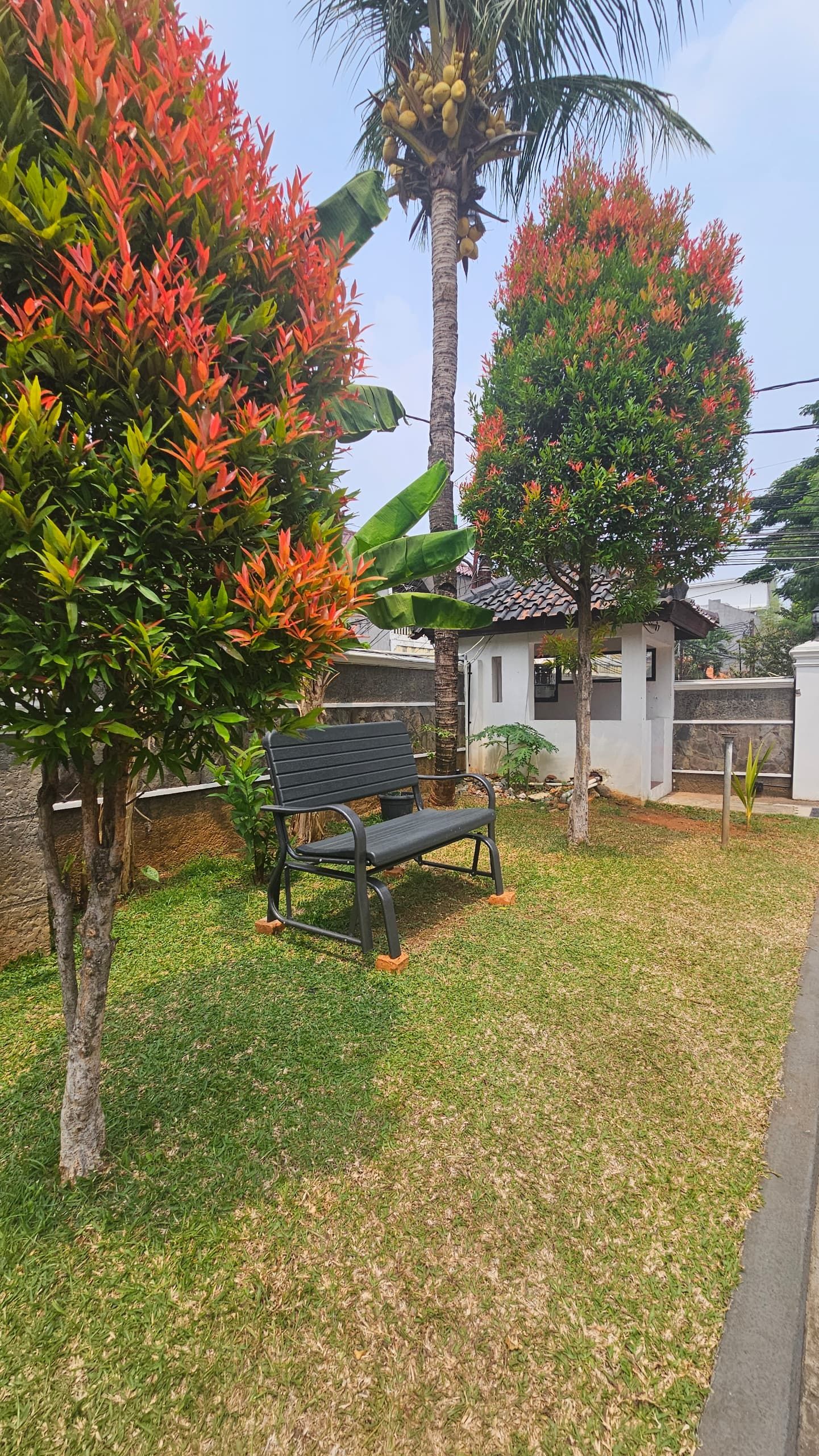 A grassy area with a bench, a palm tree, and a building with a tiled roof.