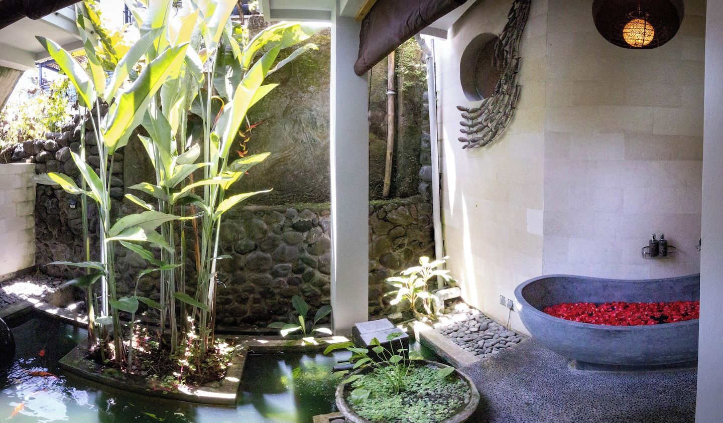 A tranquil indoor garden with a koi pond, potted plants, and a stone wall.