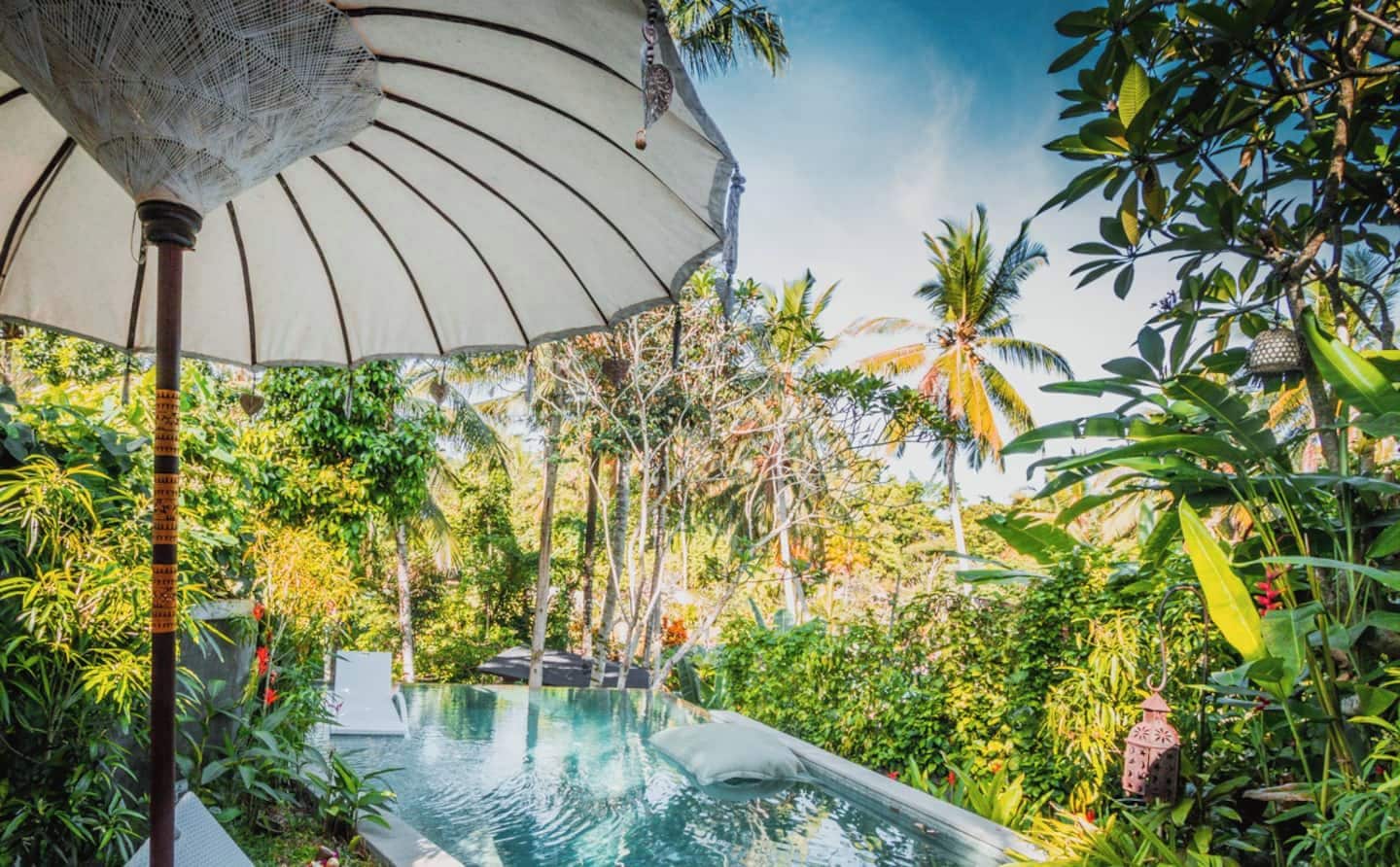 An outdoor swimming pool surrounded by lush tropical vegetation and a large umbrella providing shade.