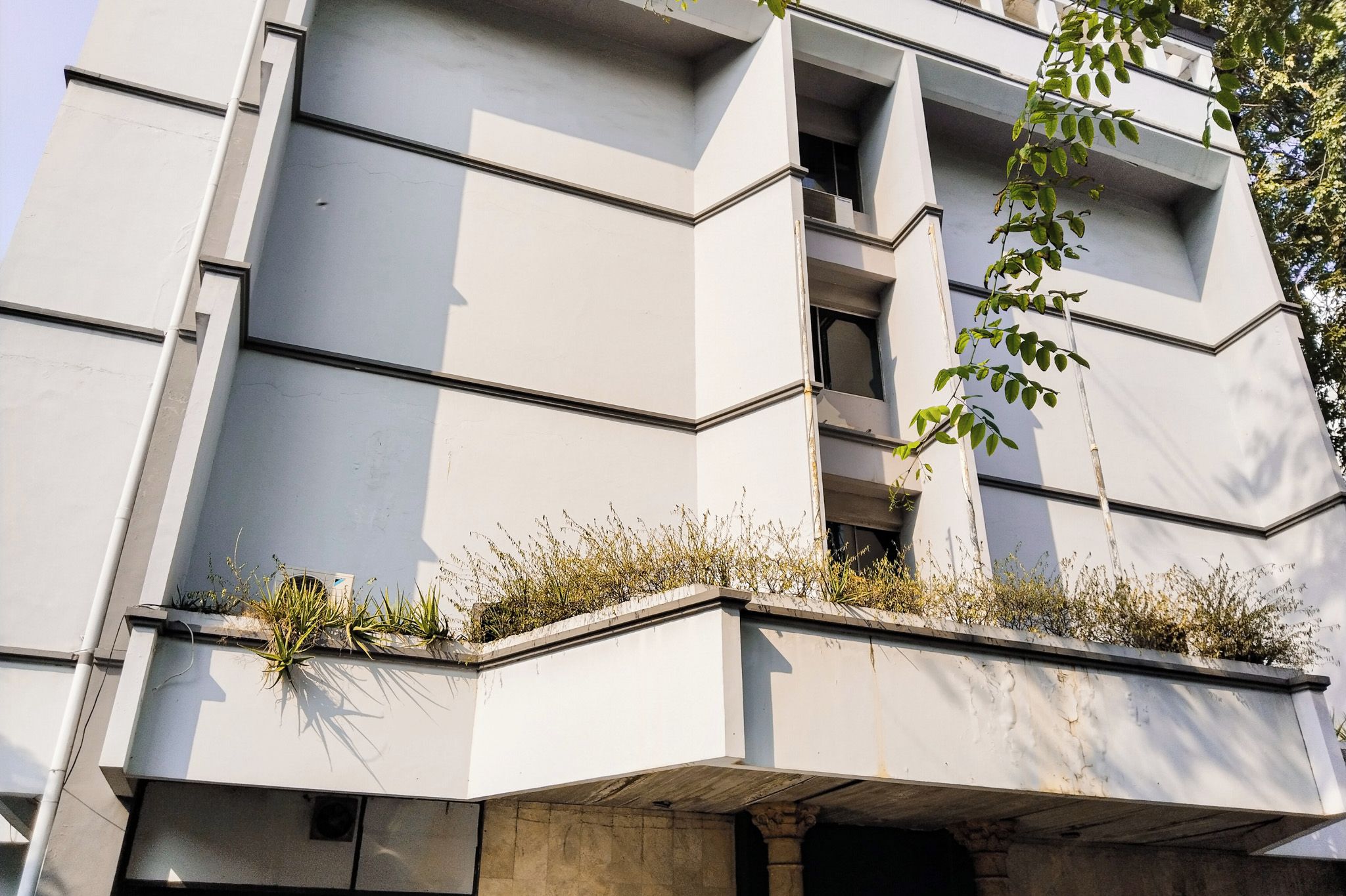 A modern building with a flat facade, large windows, and a balcony with plants.